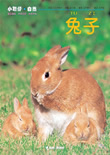 Ķ