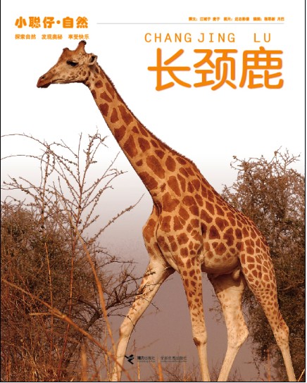 ¹