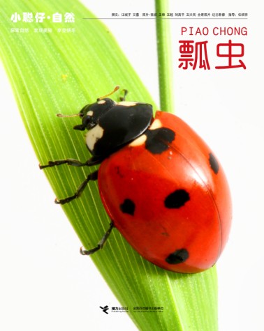 ư
