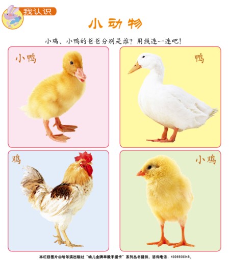 С