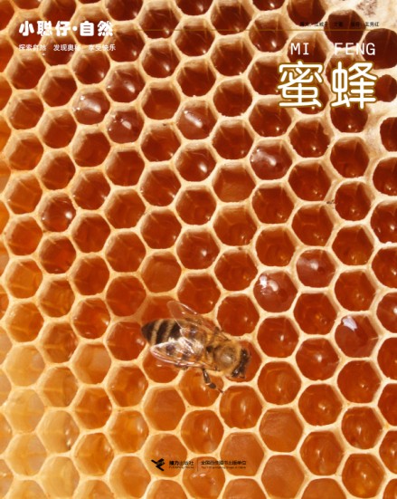 ۷