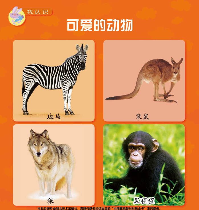 ɰĶ