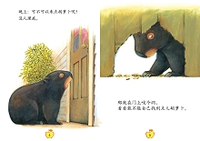 袋熊日记